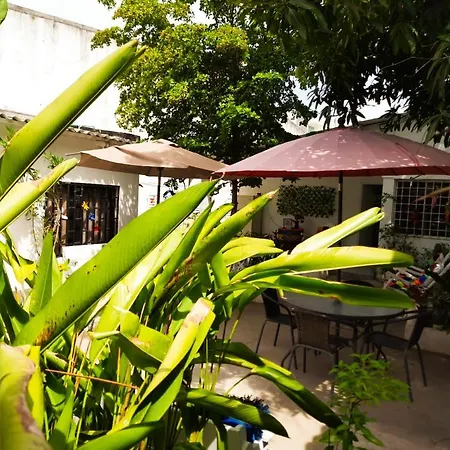 Casa Zaida Hostal Vintage-3